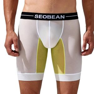 Onderbroek heren sport leggings fitness panty shorts shorts elastische taille bulge pouch workout fietsen ondergoed voor bodybuilding training