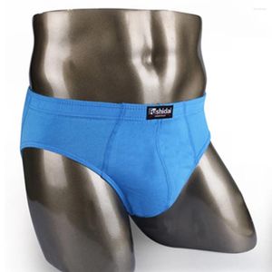 Sous-vêtements de sport pour hommes, sous-vêtements doux, slips côtelés, pantalons respirants en coton, poche convexe, Lingerie Sexy pour mari