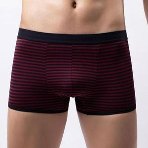 Sous-pants pour hommes sous-vêtements boxer slip