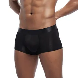 Sous-vêtements pour hommes Sous-vêtements Boxers Modal Sexy Bikini Jockstrap Slip Lingerie Homme Pantines pour hommes