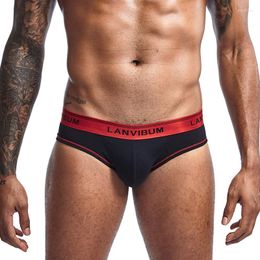 Onderbroek heren ondergoed briefs ropa de hombre lingerie sexy cuecas masculina calzoncillos sexi jockstrap onderto