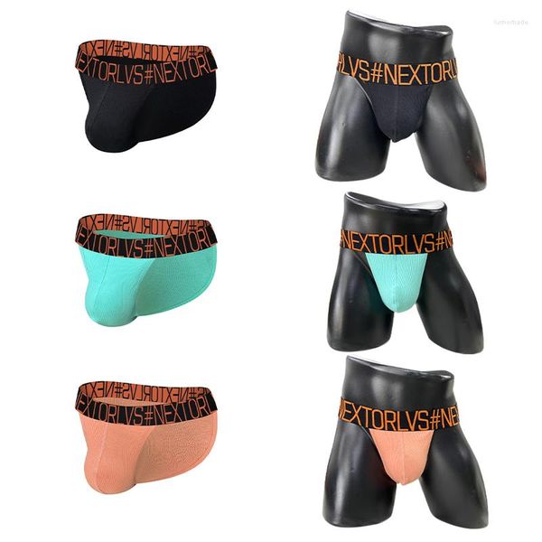 Sous-vêtements hommes sous-vêtements slips sexy homme culotte coton mâle basse attente bikini pénis pochette string tongs slip jockstrap lingerie