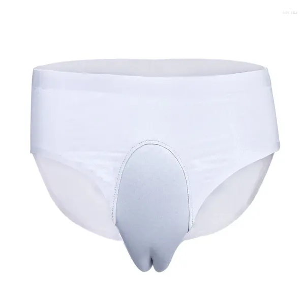 Sous-vêtements hommes sous-vêtements gay sexy slips glace soie mâle cachant Gaff culotte shaper slip pour crossdressing transgenre