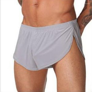 Onderbroek heren ondergoed ijs zijde losse causale trunks sport gym mannelijke slipjes sexy boxers shorts slip homme cueca slaapkleding xl