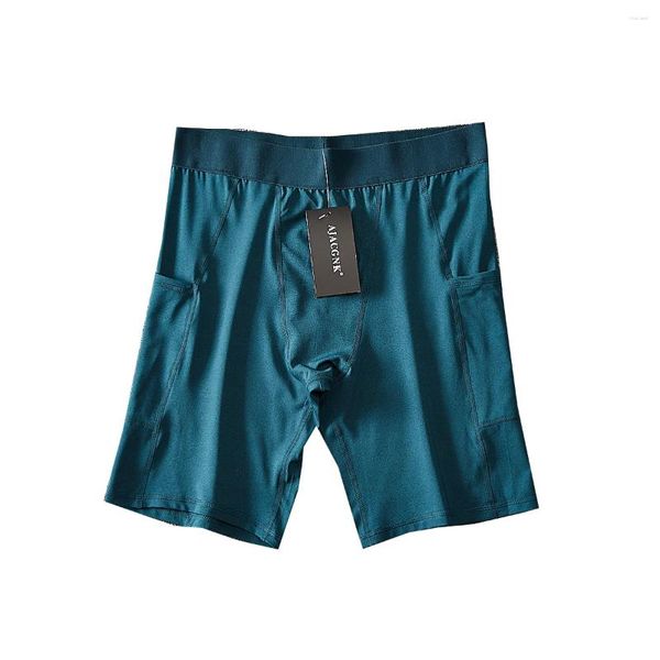 Sous-vêtements hommes sous-vêtements longue jambe Boxer sport course Fitness entraînement séchage rapide basket-ball couche de base Shorts évacuation de l'humidité