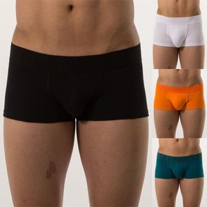 Sous-vêtements hommes sous-vêtements hommes maille slips décontracté respirant doux/sexy homme modèle