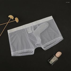 Onderbroek heren ondergoed heren doorgaan door mesh slipje ultra dunne transparante bokserslijsten sexy naadloze lingerie