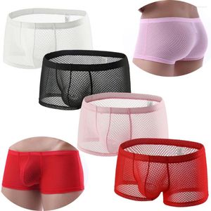 Onderbroek heren ondergoed mesh Zie door bokser shorts trunks grote penis zakje calzoncillo hombre mannelijke homme slipjes boksershorts