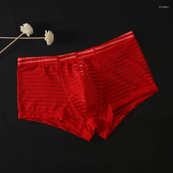 Calzoncillos Ropa interior para hombre Pantalones cortos Bulge Bolsa Bragas sexy Tronco Cintura baja Lencería Bragas Bikini Transparente