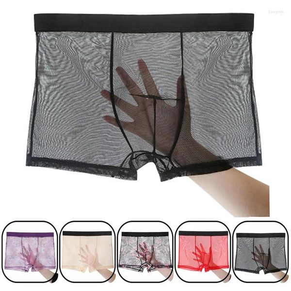 Men de sous-vêtements Mens Mens sous-vêtements ultra-minces transparents Boxershorts mâles Slips Homme Boxer Shorts confortables hommes confortables