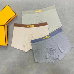 Sous--vêtements sous-vêtements pour hommes concepteurs courts sous-vêtements de glace de glace d'été ultra mince section 2024 shorts boxer en vrac populaire Slit Qaq