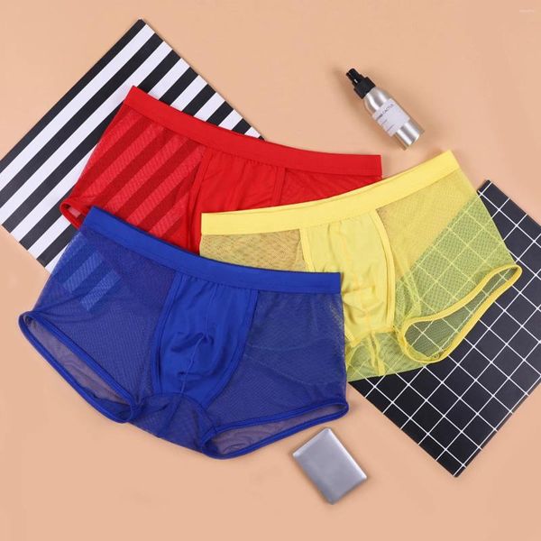 Calzoncillos Boxer de malla para hombre, ropa interior transparente, Cueca, Boxers sexys, lencería Gay, bragas transpirables de tiro bajo