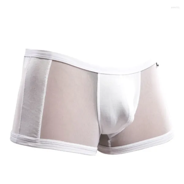 Calzoncillos de malla transpirable para hombre, diseño convexo en U, bolsa de cintura baja, pantalones planos, calzoncillos bóxer cómodos transparentes de verano