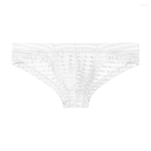 Slip Mesh Slip Mince Taille Basse Sex-Appeal Respirant Transparent Hommes Sous-Vêtements Mode Gays Vêtements Sissy Culotte Inmitate Lingerie