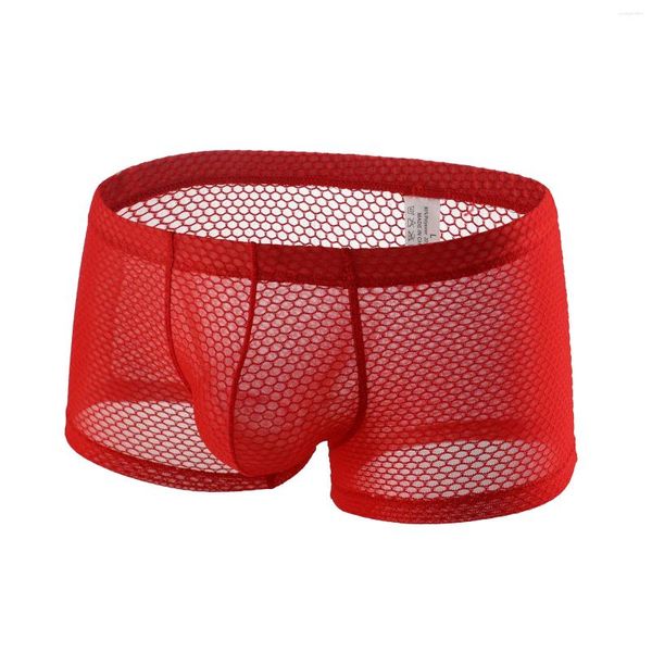 Slips en maille transparents pour Gay, sous-vêtements Sexy en résille transparente, Boxer en U, pochette convexe, slips Cuecas, grande taille 2XL