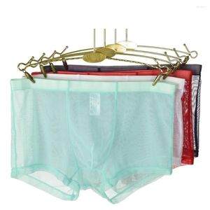 Onderbroek mesh heren sexy erotische lingerie mannelijke bikini-briefs ademende katoenen slipjes shorts lage rise ultradunne bokser