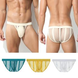 Onderbroek mesh mannen briefs slipje zomer ondergoed mannelijke g-string string stevige bol