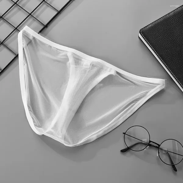 Sous-vêtements en maille fine pour hommes, sous-vêtements sexy, taille basse, culotte de sport, poche convexe en U, lingerie élastique pour gay transparent