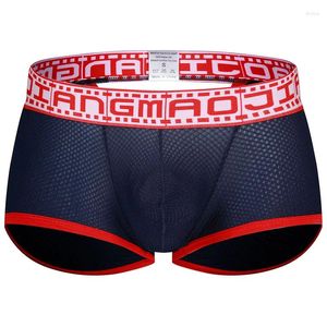 Sous-pants Mesh Underwear Men Sexy Pageties Gay Boxer Shops Backless Man Homme Boxers Pinis Qualité de la marque Érotique