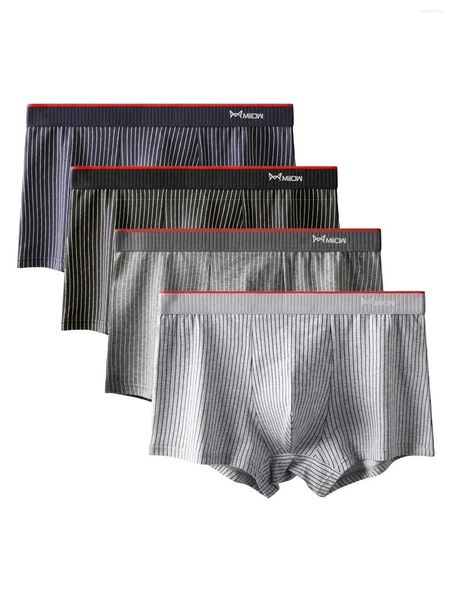 Sous-pants Miiow 4pcs Cotton Men's Boxer Underwear Antibactérien Antibactérien Boxershorts Hommes rayés sans couture Mâle court