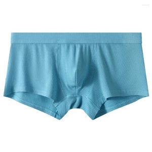 Sous-vêtements Modal Boxer Trunks Soft Bulge Pouch Hommes Respirant Culotte Sous-Vêtement Confortable Mâle Côtelé Rayé Slip