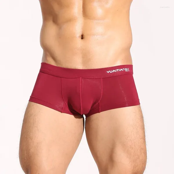 Caleçons Modal Solide Hommes Softable Sexy Respirant Sport Boxer Sous-Vêtements Culotte Marque