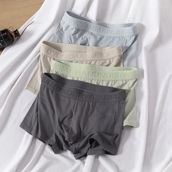 Calzoncillos Opciones multicolores para la ropa interior de los hombres Calzoncillos antibacterianos de algodón Pantalones cortos simples para niños Tendencia Bóxers transpirables sueltos