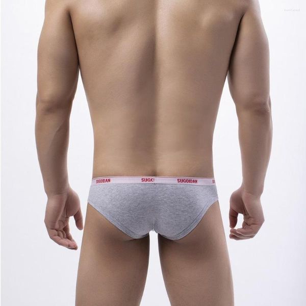 Caleçon taille fine à bords étroits pur coton hommes Sexy taille basse serré année slips petits sous-vêtements Bikini respirant