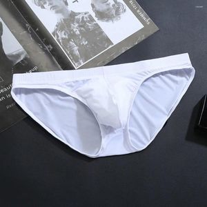 Onderbroeken uit één stuk driehoekige broeken slips heren ijszijde ondergoed sexy ultradunne transparante knickers tanga
