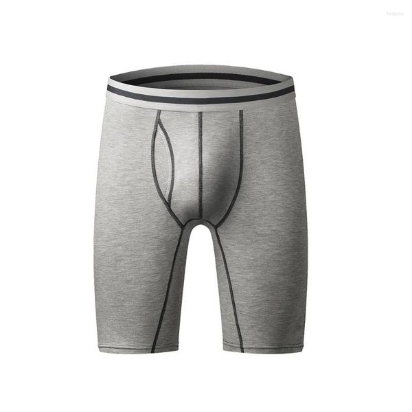 Onderbroeken Open zakje Boxershorts met lange pijpen Heren Katoenen shorts Winter dik ondergoed Hoge elasticiteit Lengte Knickers