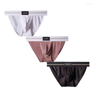 Slip ORLVS 3 pcs/lot hommes sous-vêtements slips ensemble Modal Sexy homme Gay confortable hommes culottes en gros