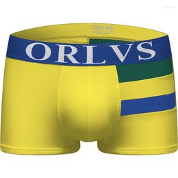 Caleçon ORLVS Boxers Striped Color Clash Sexy Males Elastic Underwear Fine Velvet Antiskid Convex Belt Oversized Pouch Design Soft Short
