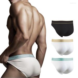 Slip ORLVS Sexy hommes slips sous-vêtements en coton homme 3 Style Gay mâle culotte doux confortable goutte Cuecas Slip