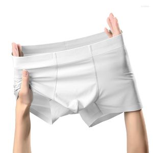 Slip fil de papier Ultra-mince glace soie hommes sous-vêtements mâle mûrier antibactérien sans couture plat coin Shorts quatre