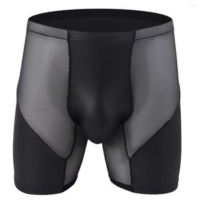 Caleçon en cuir verni hommes pantalons loisirs sport allongé Sexy maille transparente hommes sous-vêtements boxeurs
