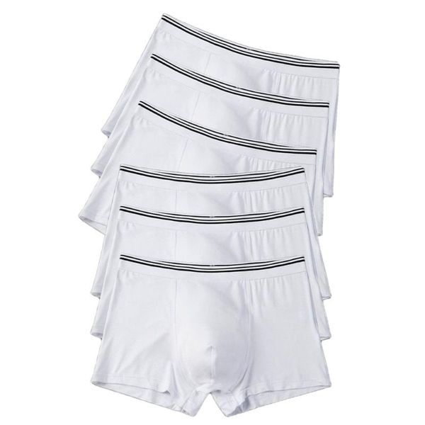 Sous-vêtements pcs blanc hommes boxeurs slips coton bas shorts de mariage sous-vêtements modal sous-vêtements culottes sous vêtements caleçonssous-vêtements