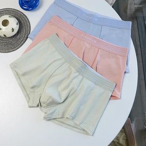 Sous-pants Pink Trend Men's Underwear Pure Coton Boxer Shorts respirant Simple Low Sexe Sexy Boxers jeunes garçons