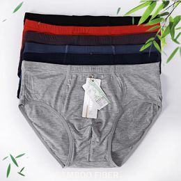 Sous-pants plus taille noire respirant sous-vêtements homme 4xl 5xl 6xl Male Brand Quality Men Briefs Bamboo Fiber Soft Sexy Unware