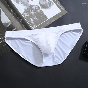 Onderbroek Plus maat M-4xl ijs zijde sexy ondergoed mannen briefs naadloos ademend laag stijgende u zak slipjes zacht