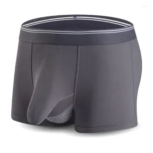 Sous-vêtements grande taille hommes Sexy séparé pénis poche Boxer Shorts respirant hommes culotte de sous-vêtements Modal hommes éléphant nez