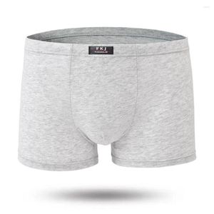 Onderbroek plus size heren ondergoed ondergoed boksers briefs katoen shorts trunk u convex penis buch slipjes ademende zweet boksers