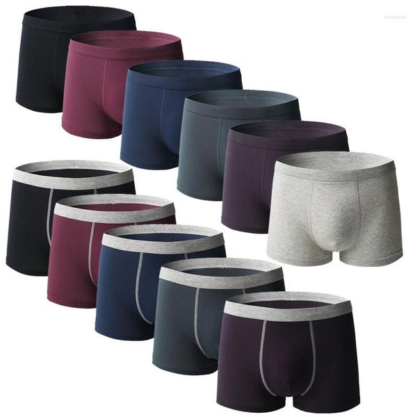 Slip Plus Undies Grande Taille Hommes Sous-Vêtements Graisse Mâle Culotte Plus Grand Coton Garçon Boxer Shorts Tissu Antibactérien Confortable