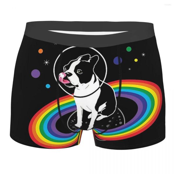 Caleçon Pride Space Dog Boxer pour homme et univers respirant sous-vêtements créatifs de qualité supérieure short imprimé idée cadeau