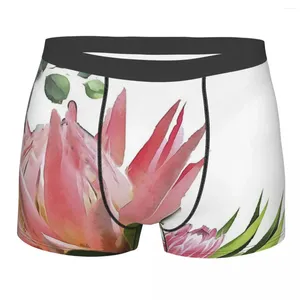 Onderbroek Protea Proteas Wit katoenen slipje Herenondergoed Ventileer shorts Boxershorts