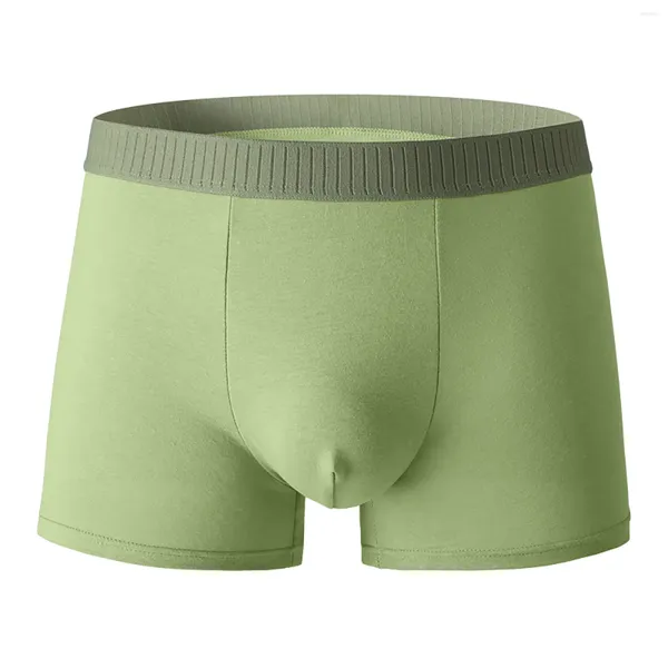 Calzoncillos Boxer de grafeno de algodón puro Slim Fit Ropa interior íntima transpirable U-convexo Lencería de color sólido Pantys Fitness Calzoncillo masculino