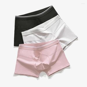 Calzoncillos Ropa interior de algodón puro para hombres Plus Boxer gordo Homme Calecon sin costuras Acogedor para sexy