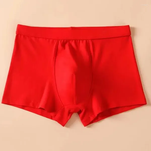 Calzoncillos puros algodón rojo rojo ropa interior para hombres color jóvenes casados