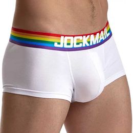 Sous-pants Rainbow Belt Mens Underwear Boxershorts Cotton Breathable Q240430