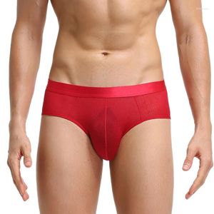 Calzoncillos bragas rojas hombres eróticos calzoncillos transparentes Sissy delgada Sexy lencería masculina para sexo ropa interior niños G-strings porno gays