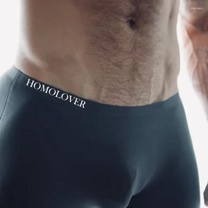 Sous les sous-vêtements sexy sans couture pour les hommes Pack Boxers coton Briefes Briess Brewable Pantes E Slip